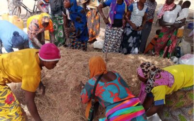 Formation sur la fabrication et l&rsquo;utilisation du composte au profit du groupement féminin Guinkom