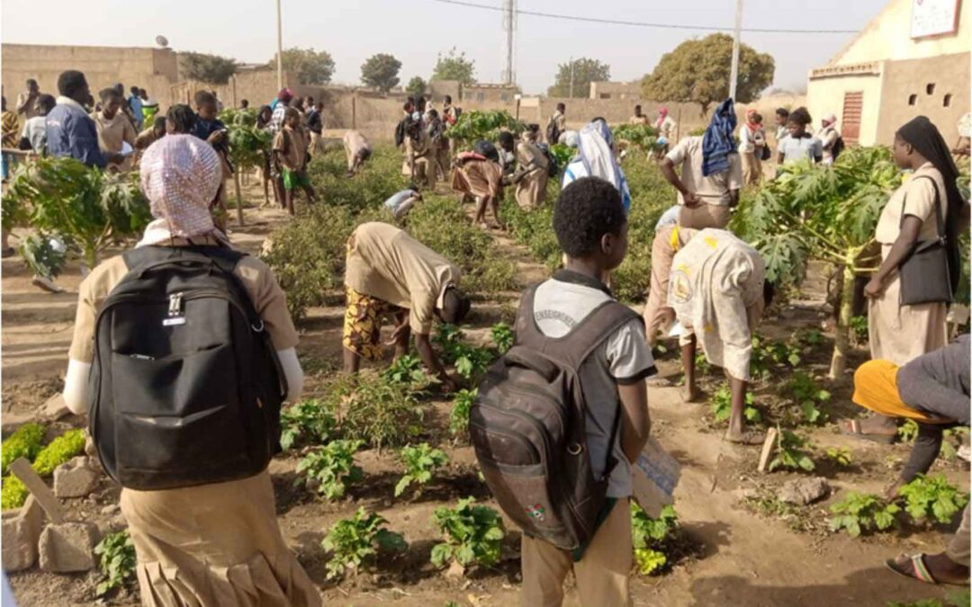 Éducation Environnementale en milieu scolaire