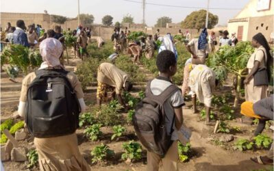 Éducation Environnementale en milieu scolaire